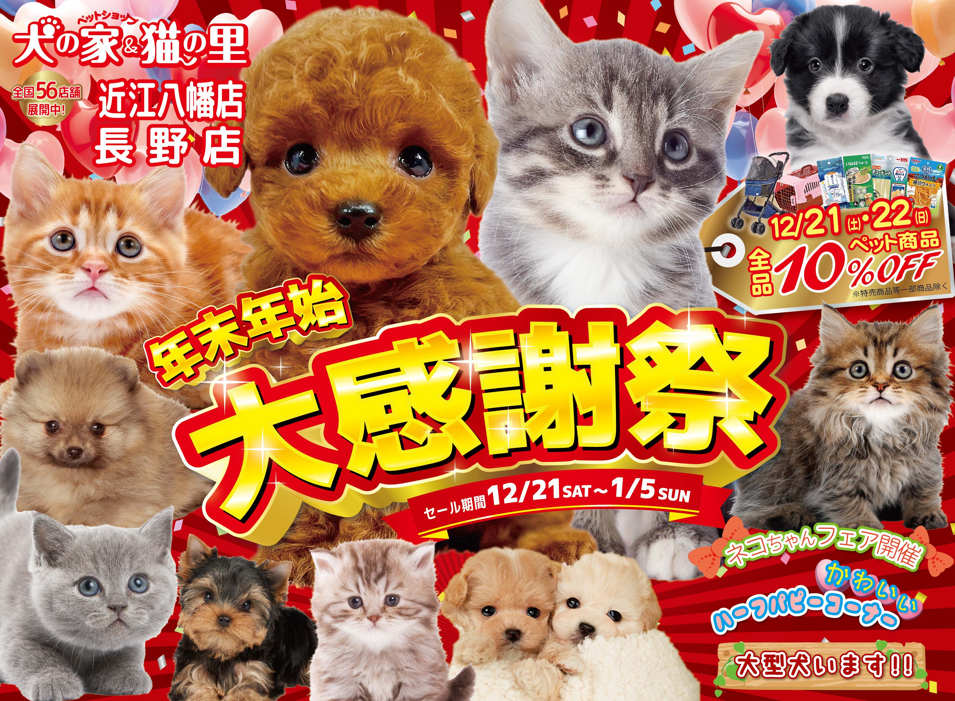 最新セール情報【年末年始大感謝祭・長野店、近江八幡店】 | ペット